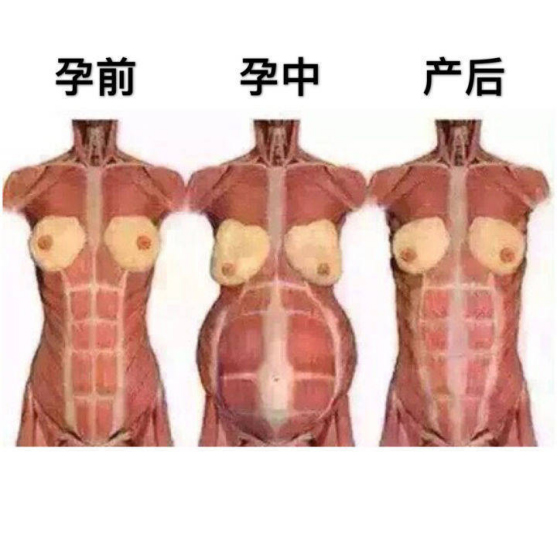 未标题-1.jpg