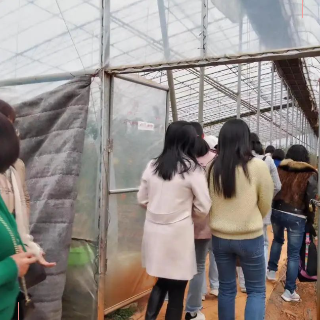 1678760274.png 1678760310303.png