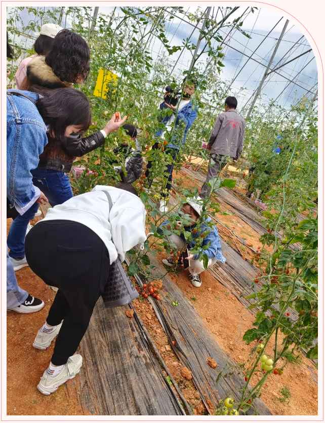 1678760298.png 1678760335046.png