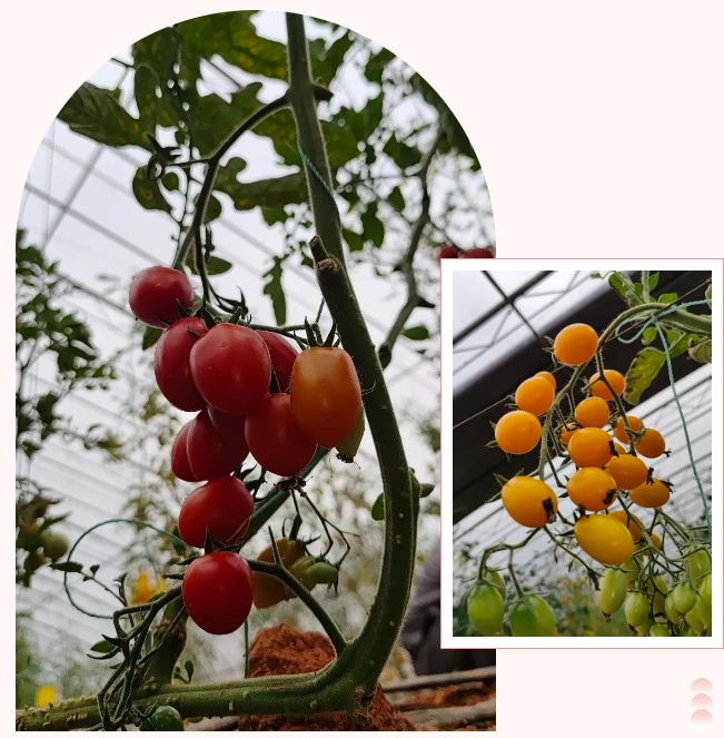 1678760345.png 1678760381497.png