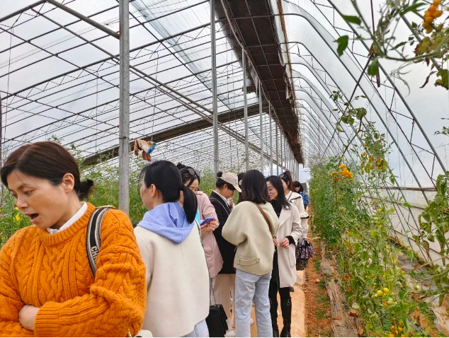 1678760372.png 1678760409164.png