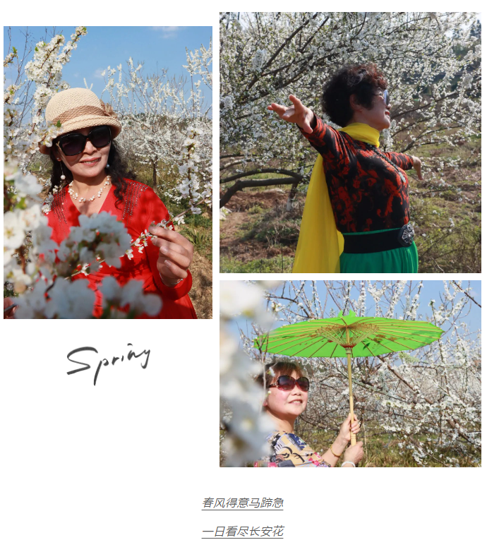 1678760651.png 1678760688991.png