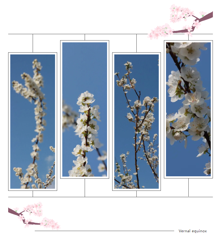 1678760676.png 1678760712320.png