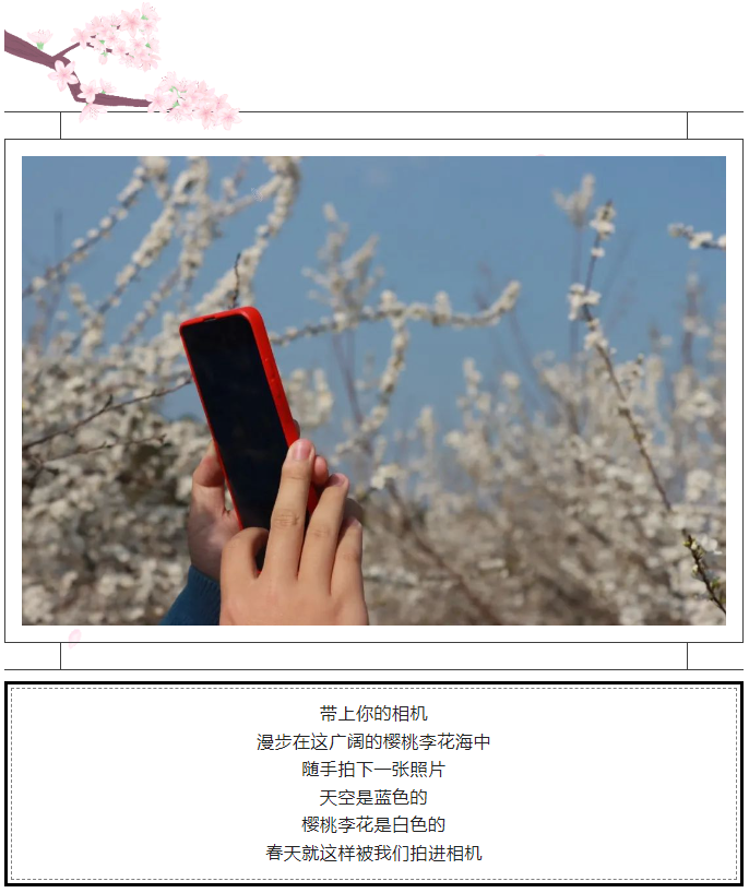 1678760723.png 1678760760415.png