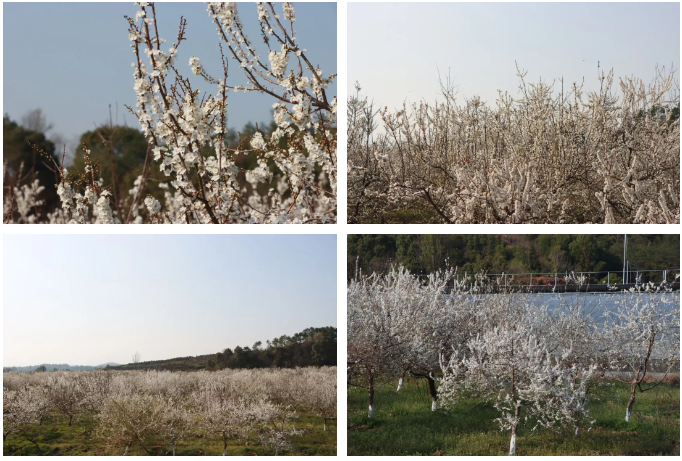 1678760741.png 1678760778346.png