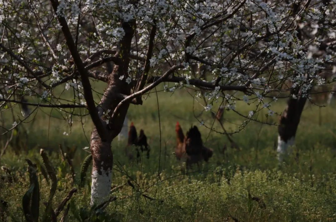 1678760765.png 1678760803177.png