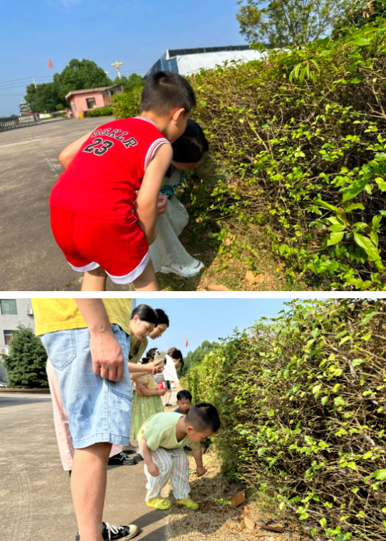 微信图片_202306050920004.png